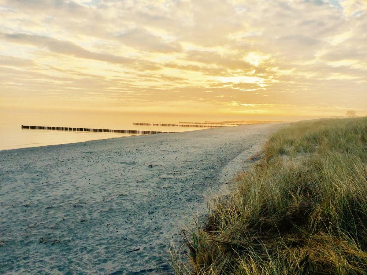 Chalet Zingst Eksteriør billede