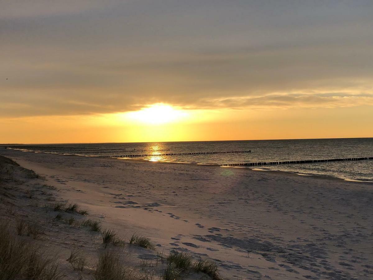 Chalet Zingst Eksteriør billede